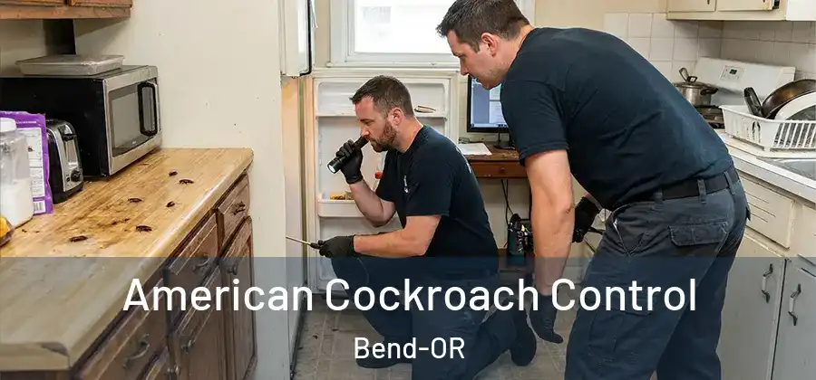  American Cockroach Control Bend-OR