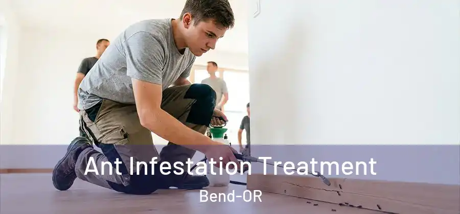  Ant Infestation Treatment Bend-OR