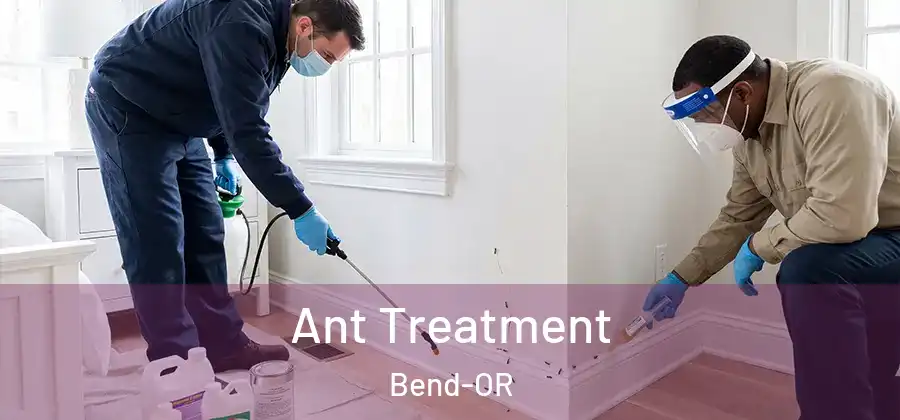 Ant Treatment Bend-OR