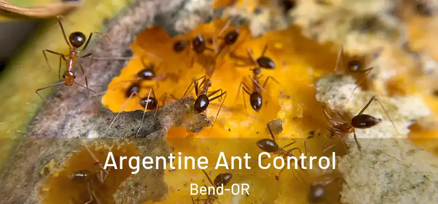 Argentine Ant Control Bend-OR