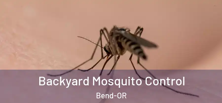  Backyard Mosquito Control Bend-OR
