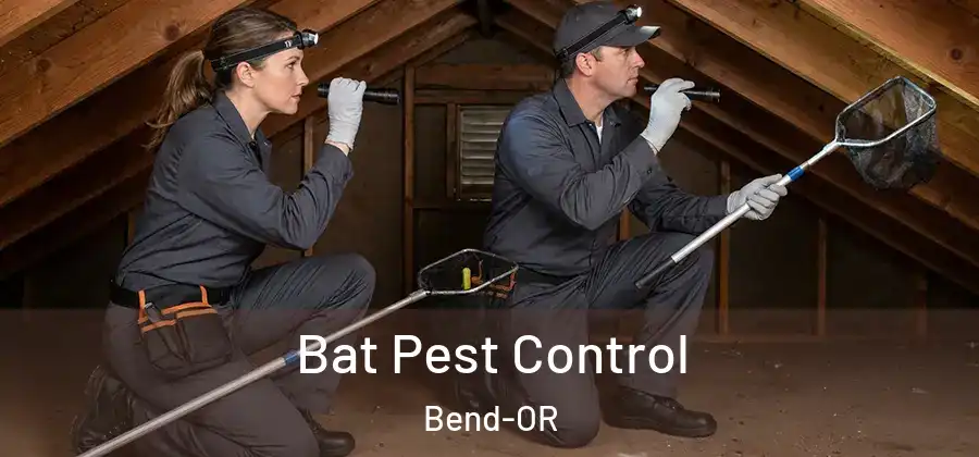  Bat Pest Control Bend-OR