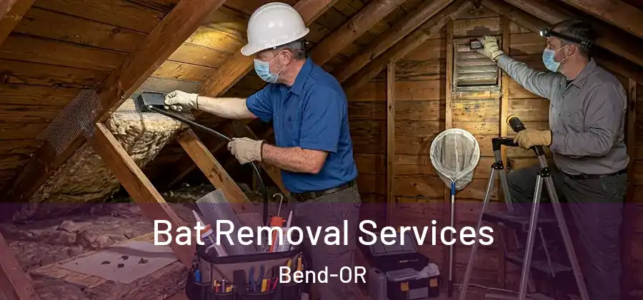  Bat Removal Services Bend-OR