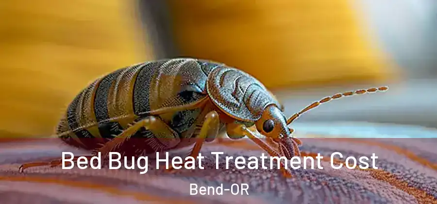 Bed Bug Heat Treatment Cost Bend-OR