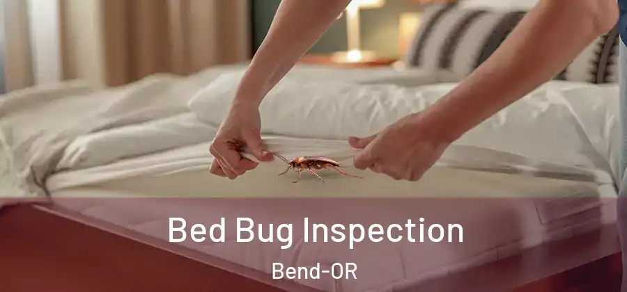 Bed Bug Inspection Bend-OR
