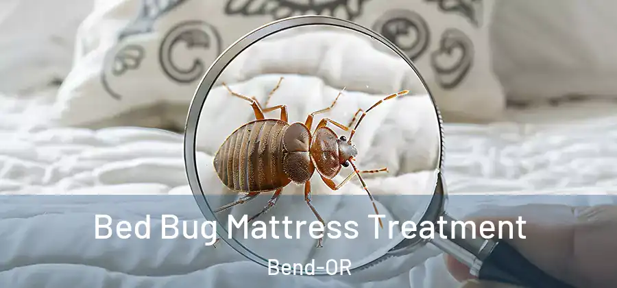 Bed Bug Mattress Treatment Bend-OR