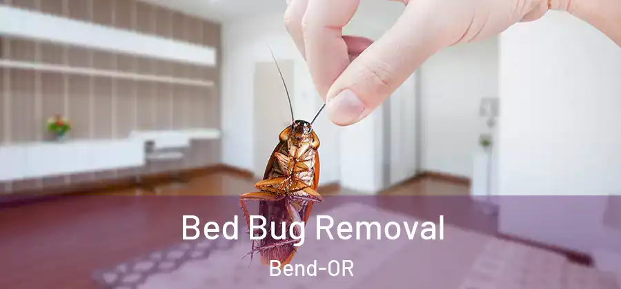  Bed Bug Removal Bend-OR