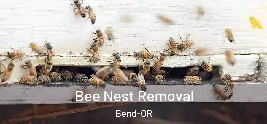 Bee Nest Removal Bend-OR