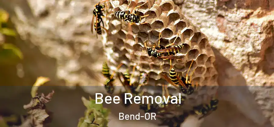  Bee Removal Bend-OR