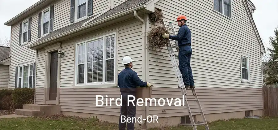 Bird Removal Bend-OR