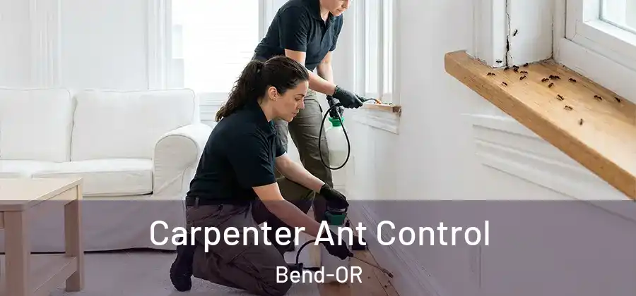 Carpenter Ant Control Bend-OR