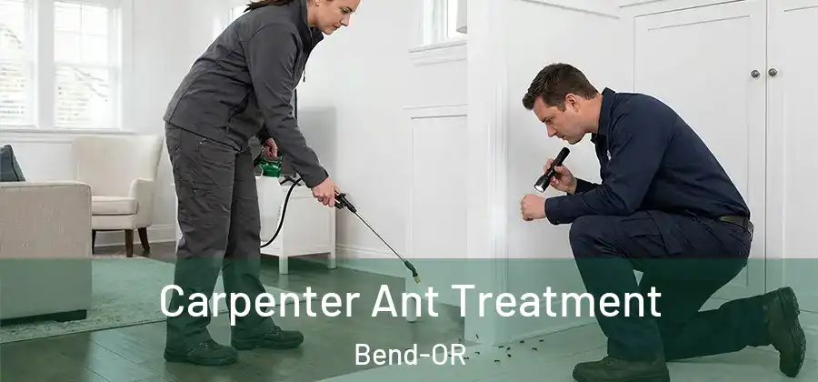 Carpenter Ant Treatment Bend-OR