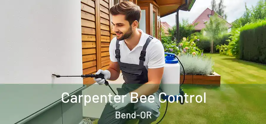  Carpenter Bee Control Bend-OR