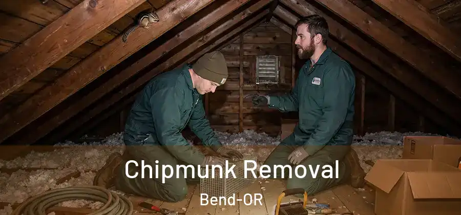 Chipmunk Removal Bend-OR