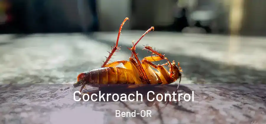  Cockroach Control Bend-OR