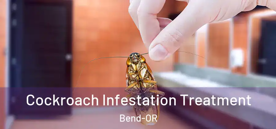 Cockroach Infestation Treatment Bend-OR