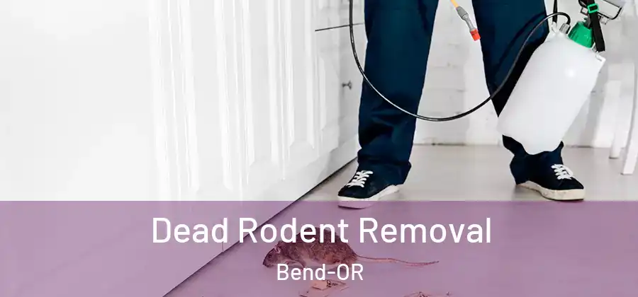  Dead Rodent Removal Bend-OR