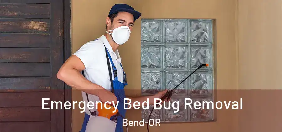  Emergency Bed Bug Removal Bend-OR