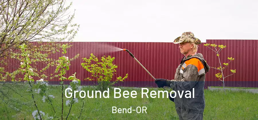  Ground Bee Removal Bend-OR