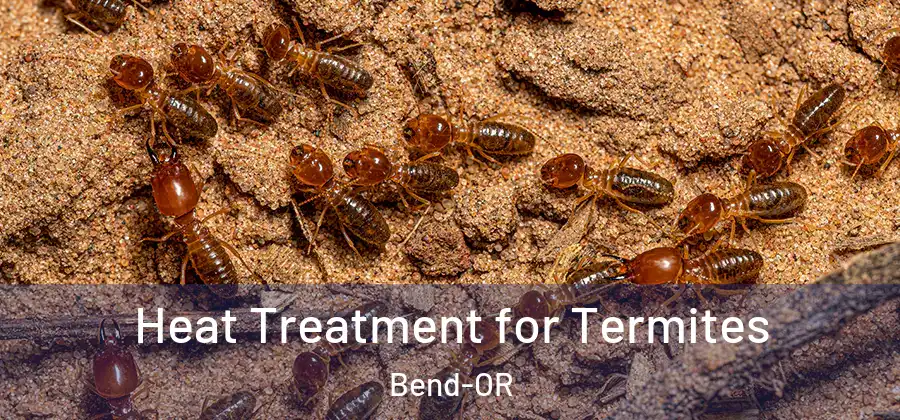 Heat Treatment for Termites Bend-OR