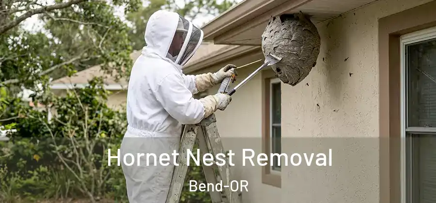 Hornet Nest Removal Bend-OR