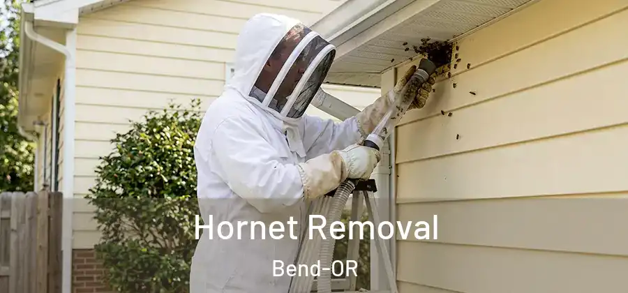  Hornet Removal Bend-OR
