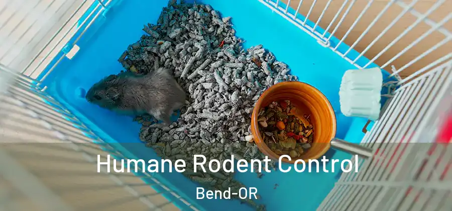  Humane Rodent Control Bend-OR