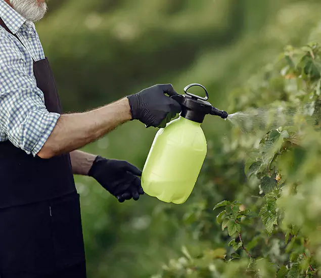 Your Proven Mosquito Treatment Company in Bend, OR