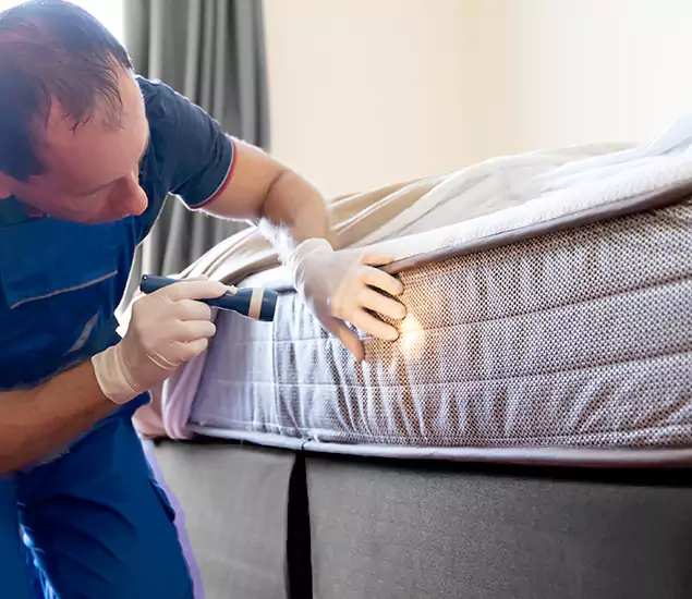 Trusted Bed Bug Cost Experts in Bend, OR