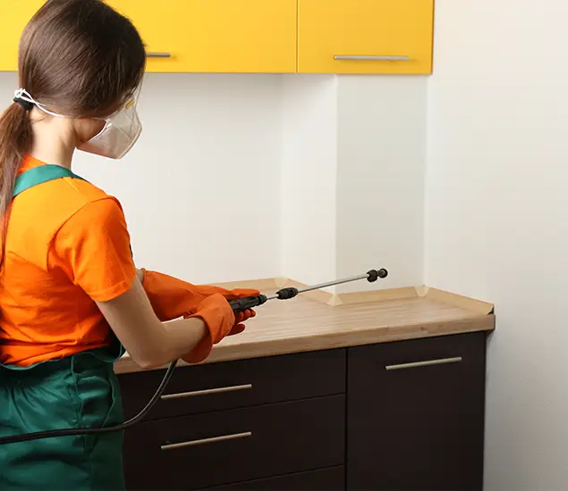Trusted Bed Bug Pest Control Specialist in Bend, OR