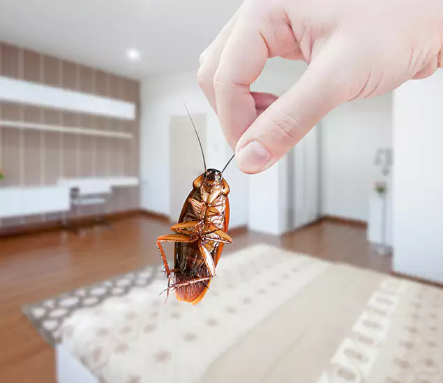 Your Cockroach Control Services in Bend, OR