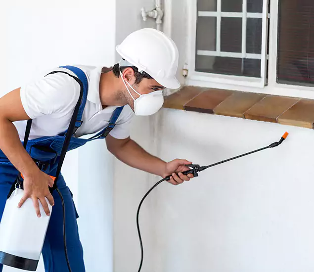 Your Professional Cockroach Exterminator in Bend, OR