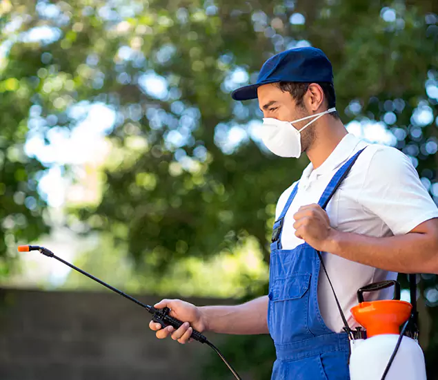 Your Trusted Flea and Tick Control in Bend, OR