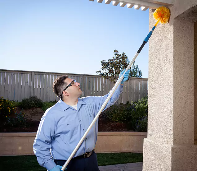 Trusted Experts in Bend OR for Formosan Termite Treatment and Black Termite Control