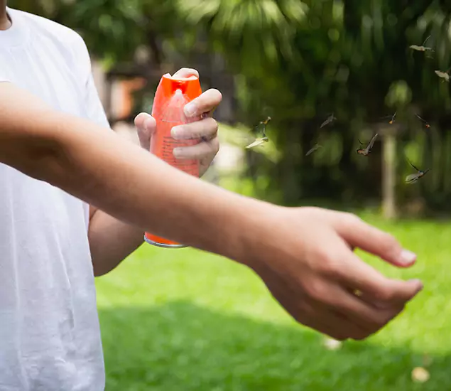 Your Best Indoor Bug Killer Team in Bend, OR