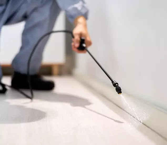 About Our Liquid Termite Treatment Experts in Bend, OR