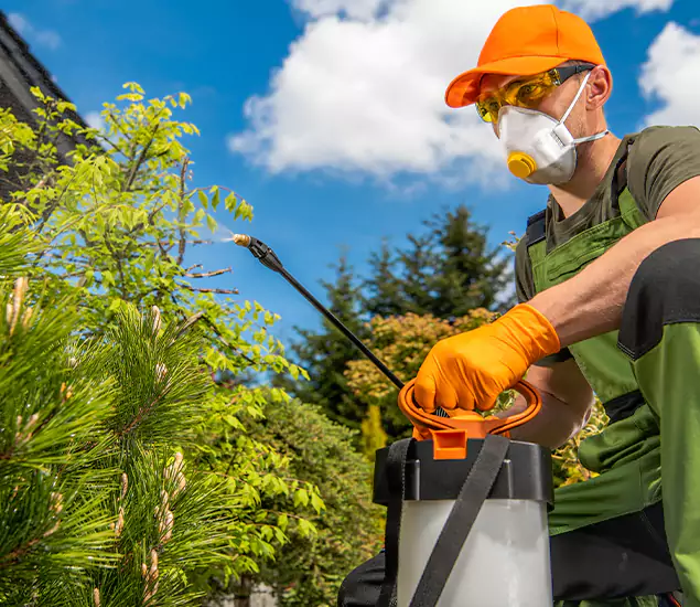 Your Mosquito Repellent Barrier Service in Bend, OR