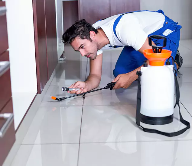 Reliable Professional Mouse Removal: Your Best Mouse Control Company in Bend, OR