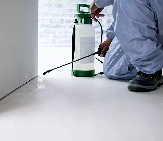 Affordable Pest Control Experts in Bend, OR