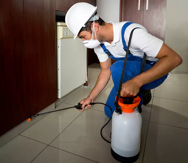 Advanced Termite Pre Treatment Experts in Bend, OR