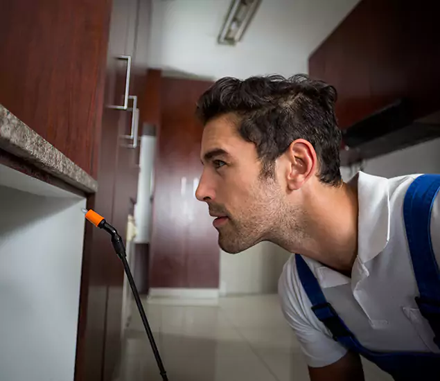 Expert Rodent in Attic Removal: Your Proven Pest Specialists in Bend, OR