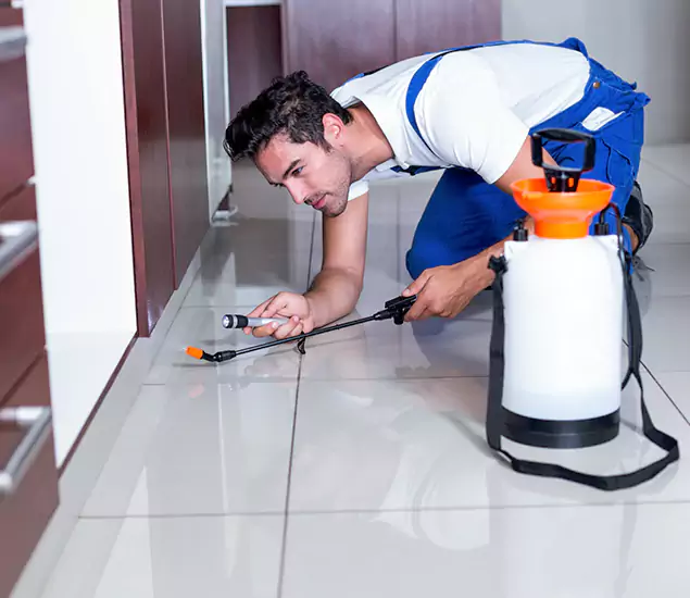 Advanced Slab Termite Treatment Experts You Can Trust&nbsp;in Bend, OR