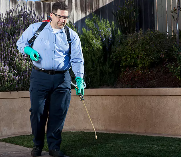 Reliable Termite Barrier Treatment Experts in Bend, OR