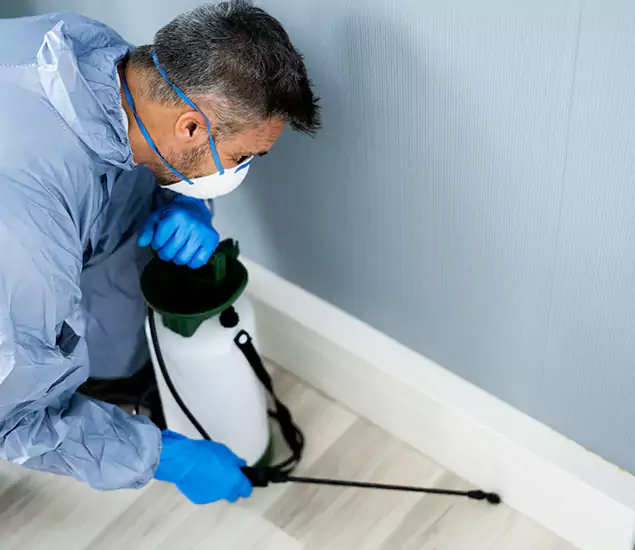 Reliable Termite Cost Experts in Bend, OR
