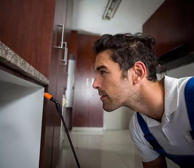 Termite Inspection Cost Experts You Can Trust in Bend, OR