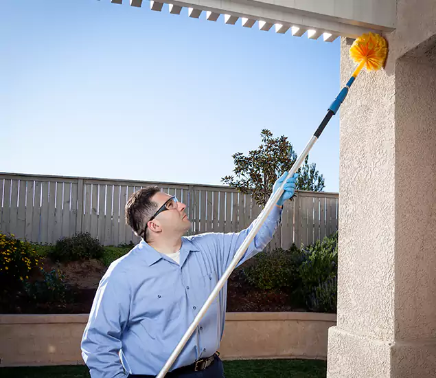 Your Trusted Wasp Removal Company in Bend, OR