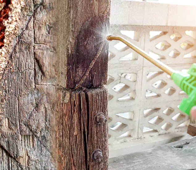 About Wood Termite Treatment Services in Bend, OR