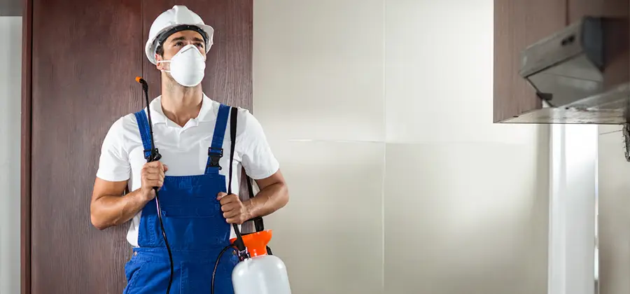 Per Room Bed Bug Cost in Bend