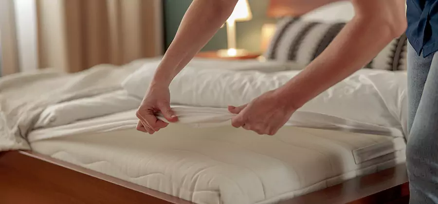 Bed Bug Extermination Services in Bend