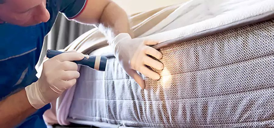 Residential Bed Bug Treatment Cost in Bend